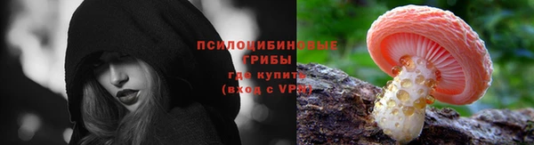 мяу мяу мука Алексин