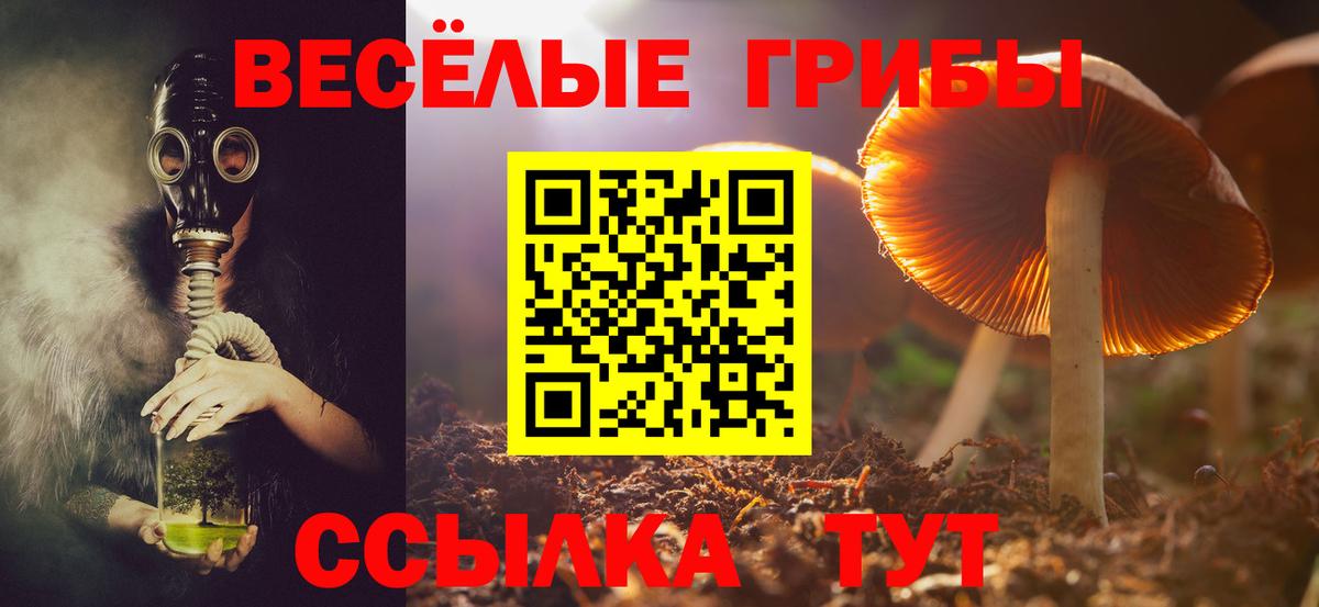 Галлюциногенные грибы MAGIC MUSHROOMS  Вход с VPN  Ипатово 
